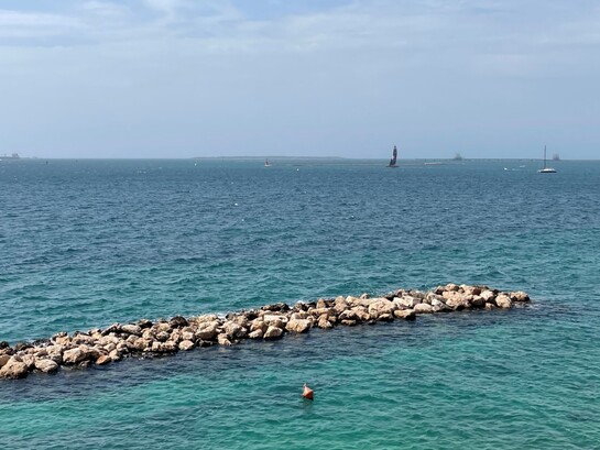 Le cozze di Taranto sono note per la loro qualità, legata alle caratteristiche ambientali dello Ionio e del Mar Piccolo, dove crescono in acque salmastre. Corso due Mari, Taranto, Puglia, Italia