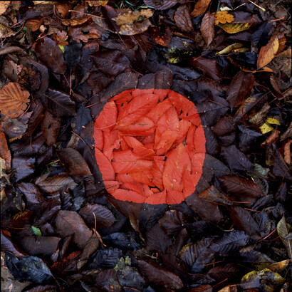 Andy Goldsworthy, Edges made by finding leaves the same size. Tearing one in two. Spitting underneath and pressing flat on to another. Brough, Cumbria. Cherry patch, 4 November 1984, 1984. Courtesy of National Galleries of Scotland