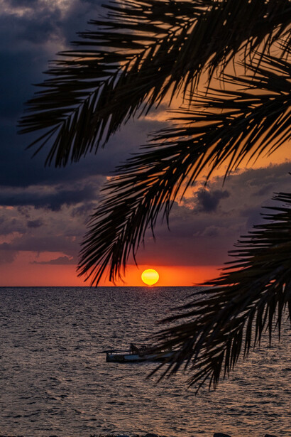 Soft, warm tones of the setting sun wash over the rugged coastline of Kerkennah, Tunisia, reflecting the quiet simplicity that drew Pierre Gassin to this remote corner of the country, image taken by Pierre Gassin