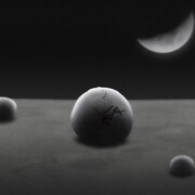 Eggs, stampa digitale su carta cotone BW Hahnemule, cm 28 x 94, 2014 (dettaglio)