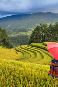 La moda que está en cada rincón, hacen de Vietnam un destino del que no te querrás ir