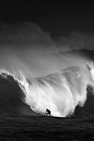 Ed Freeman, Surf