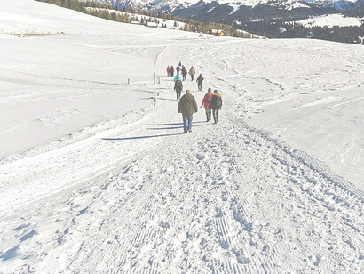 Seisser Alm in Südtirol, Italien