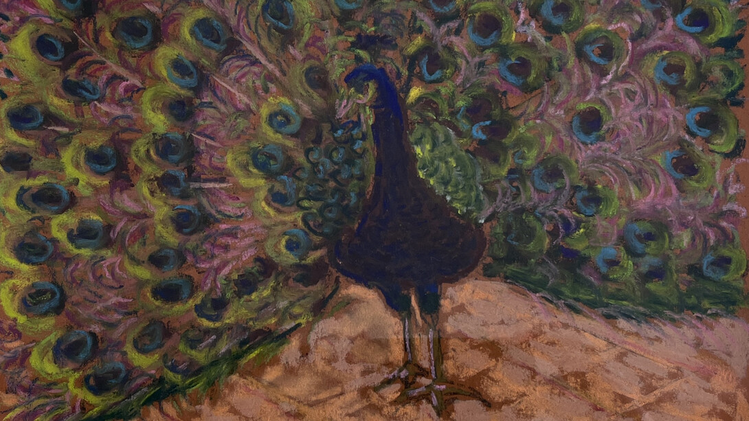 Anne Mansour, Peacock (detail). Courtesy of Bermudez Projects