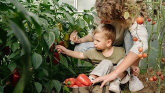 Mãe e filho em horta. O parto vaginal e a amamentação materna são determinantes para a formação desta comunidade de seres invisíveis no corpo infantil. Ela influencia a longevidade, imunidade, qualidade do sono e até o seu rendimento desportivo. Esses microrganismos comunicam-se com o cérebro para regular as funções corporais e influenciam o nosso estado de espírito, empatia e a convivência. A ciência contemporânea confirma a tese das antigas tradições: O intestino é o segundo cérebro