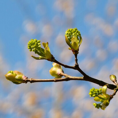 La natura insegna che non tutto può essere pianificato, perché ogni terreno ha tempi, limiti e possibilità proprie
