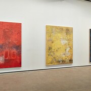 Hugo McCloud, Veiled, Exhbition view. Courtesy of Sean Kelly Gallery
