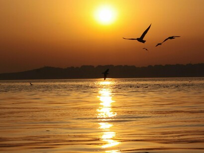 Por incrível que pareça, poucos segundos depois, outra andorinha juntou-se a ela. Nosso coração de imediato nos convenceu de que era o casal se reencontrando. Voaram juntas, dando voltas, indo e vindo, se tocando, felizes por voltar a andorinhar. Estavam no céu. Foi outra emoção, ainda maior