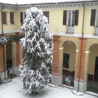Cortile del Collegio Senatore, Pavia, Italia