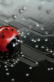 Bug bounties are not security