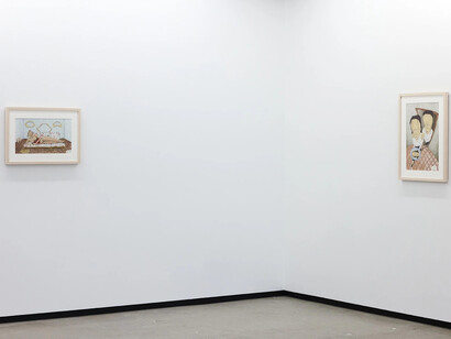 Priscilla Rose Howe, Rabid, exhibition view. Courtesy of Jhana Millers Gallery