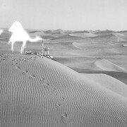 Nouf Aljowaysir, Salaf #1540, 2021. Per gentile concessione di Photo Elysée