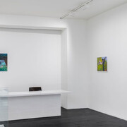 Rosalind Nashashibi, Tender horse, ausstellungsansicht. Mit freundlicher genehmigung der Galerie Urs Meile