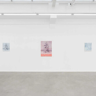 Marcel Berlanger, La disparition des limicoles, vue d'exposition. Avec l'aimable autorisation de la galerie Rodolphe Janssen