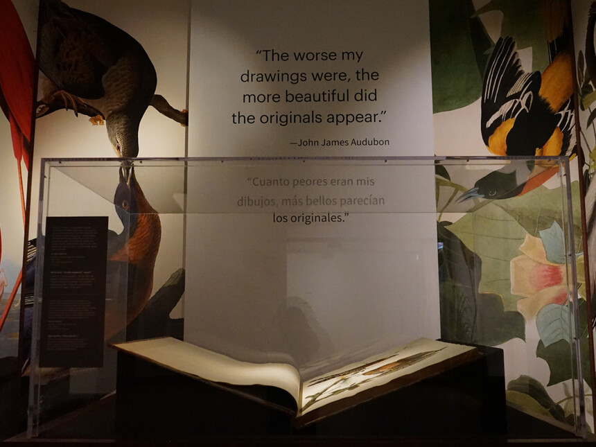 Audubon’s birds of America Meer