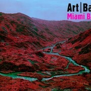 Richard Mosse, Love is the Drug, 2012 Jack Shainman Gallery New York