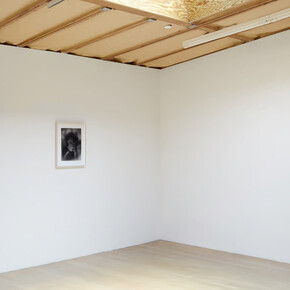 Tomoo Gokita, Naked (Desnudo), vista de exhibición. Cortesía de la Galería Blum