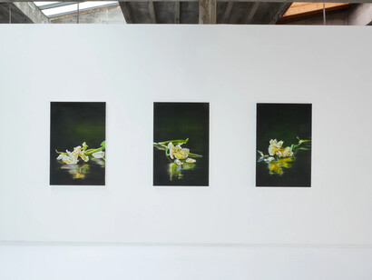 Paul Delaroche, Heart to heart, exhibition view. Courtesy of Hosfelt Gallery