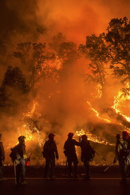 Bomberos apagando un incendio forestal