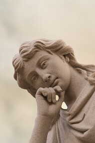 Prendere parte al mondo vivente