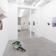 Marie Lelouche, Nonuments, exhibition view. Courtesy of Alberta Pane Gallery