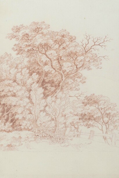 Anton Graff, Baumstudie, 1798. Mit freundlicher genehmigung der Gemäldegalerie