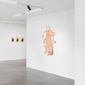 Bekhbaatar Enkhtur, Tinct, exhibition view. Courtesy of Galeria Pedro Cera