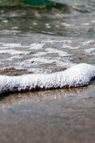 Foaming seawaves invite wandering minds