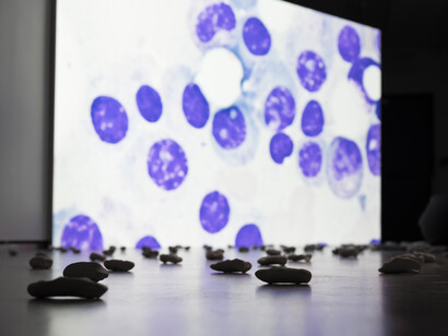 Femke Herregraven, The murmur of the dying. Mit freundlicher genehmigung des Kunstraum Niederösterreich