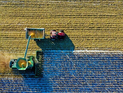 La articulación entre laboratorios, estaciones experimentales y actores del sector productivo fortalece la competitividad regional y posiciona al Cono Sur como polo de innovación agropecuaria