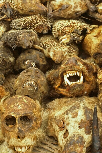 Puesto en el mercado de Akodessewa, Lomé, Togo