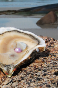 Le discipline sociali conoscono l'importanza essenziale dei piccoli stimoli 