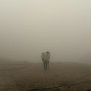 Sasha Bezzubov, Fog, 2024. Courtesy of Front Room Gallery