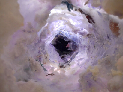 Natália Trejbalová, Never ground (video still), 2025. Courtesy of Bratislava City Gallery