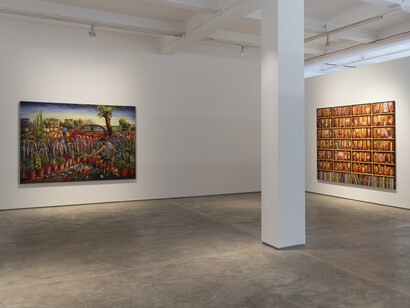 Vinod Balak, An axis for a revolution, exhibition view. Courtesy of Galerie Mirchandani + Steinruecke