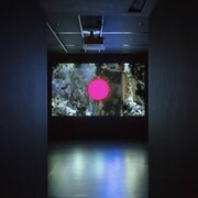 Takeshi Murata, Exhibition view. Courtesy of Empty Gallery