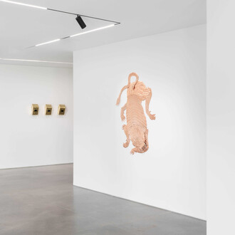 Bekhbaatar Enkhtur, Tinct, exhibition view. Courtesy of Galeria Pedro Cera