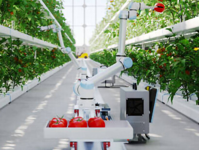 AI-driven automated hydroponic farms are transforming agriculture by enhancing crop yields and ensuring precise quality control, leading to more efficient and sustainable food production