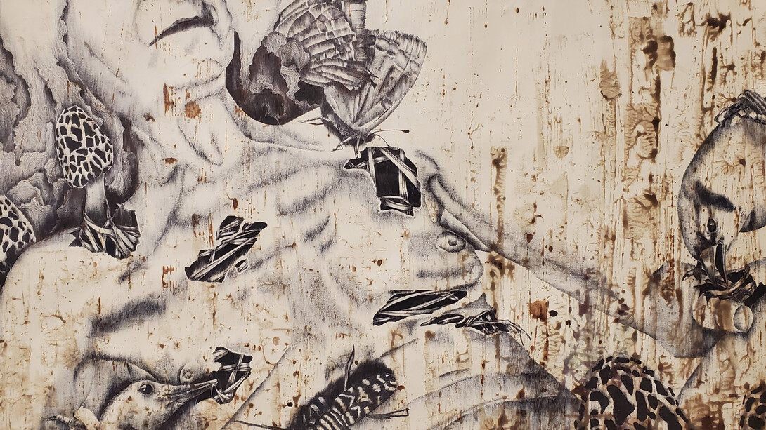 Katie Simmons, Carya glabra (detail), 2023. Courtesy of Pleiades Gallery