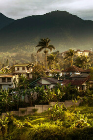 Nestled among the lush greenery, the charming houses in Bandung, Indonesia, offers a serene escape from the hustle and bustle of city life, surrounded by the natural beauty of the West Java mountains, it feels like a peaceful retreat into nature