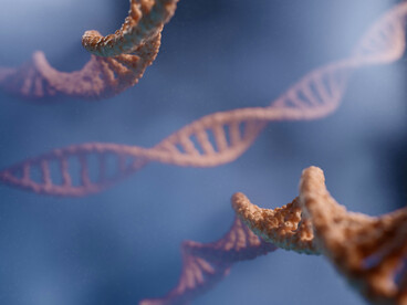 Dans la spirale du vivant, le hasard s’entrelace à la nécessité : l’ADN, machine naturelle, accomplit sans projet ce que l’homme conçoit avec dessein