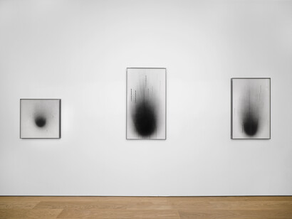 Dove Allouche, Chnops, exhibition view. Courtesy of Peter Freeman, Inc.