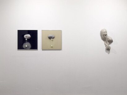 Lidó Rico, De rerum naturae, ausstellungsansicht. Mit freundlicher genehmigung der Luisa Catucci Gallery