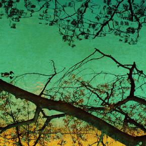 Albarrán Cabrera, The mouth of Krishna #225 (détail), 2013. Avec l'aimable autorisation des Douches la Galerie