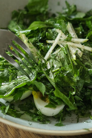 Prato redondo de cerâmica com variedade de folhas verdes