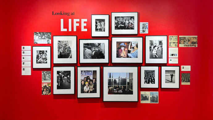 Looking at Life, exhibition view. Courtesy of Staley-Wise Gallery