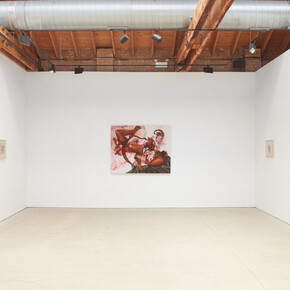 Debra Cartwright, Wandering womb: From myth to market, exhibition view. Courtesy of Anthony Gallery