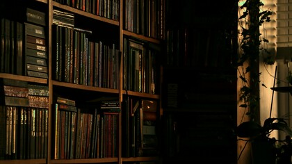 Books and books and books, a collection that is not enough