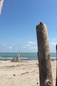 Spiaggia libera con capanne di tronchi portati dal mare