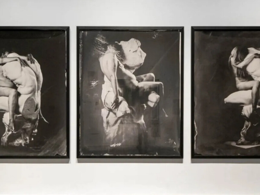 Ni animal ni tampoco ángel. Anatomía de la imagen